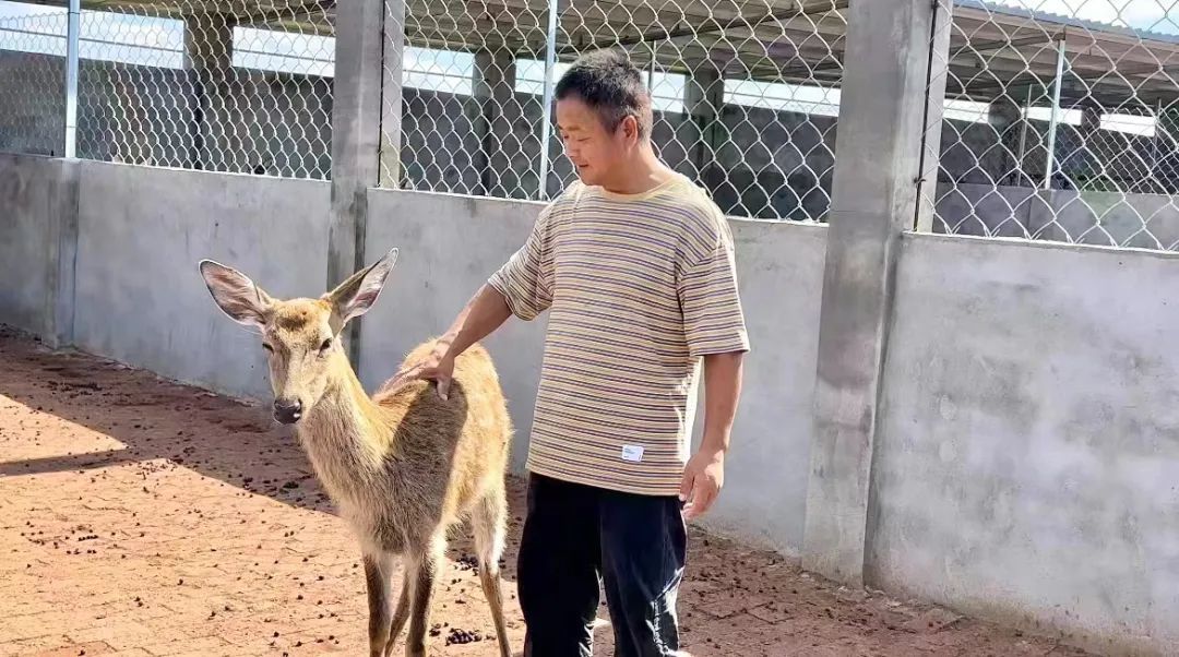 摇钱树论坛39814.con